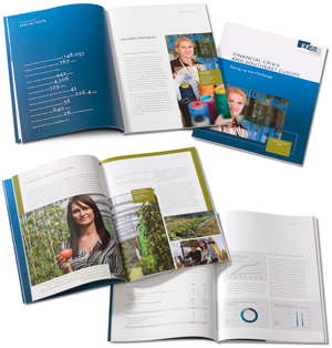 Geschäftsbericht 2008, EFSE